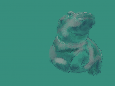 babyhippo