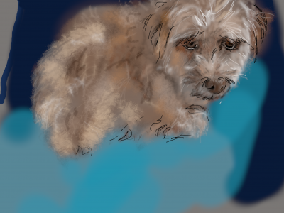 gizmo