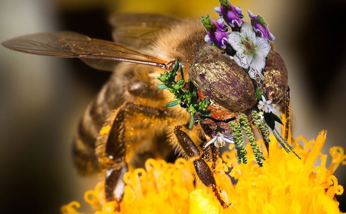Bee with midacloprid Mask