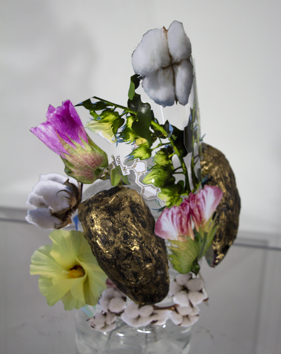 Masks for Bees: Cotton