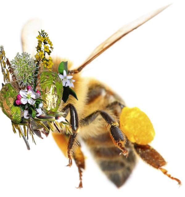Bee with Mask