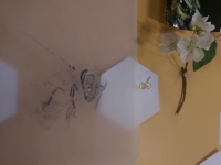 In Progress