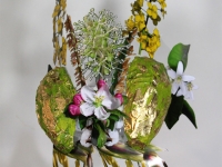 Orange, canola, sorghum, grape, apple, cotton