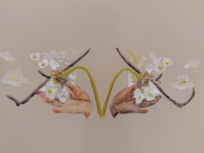 Hand Pollination Hanyuan county